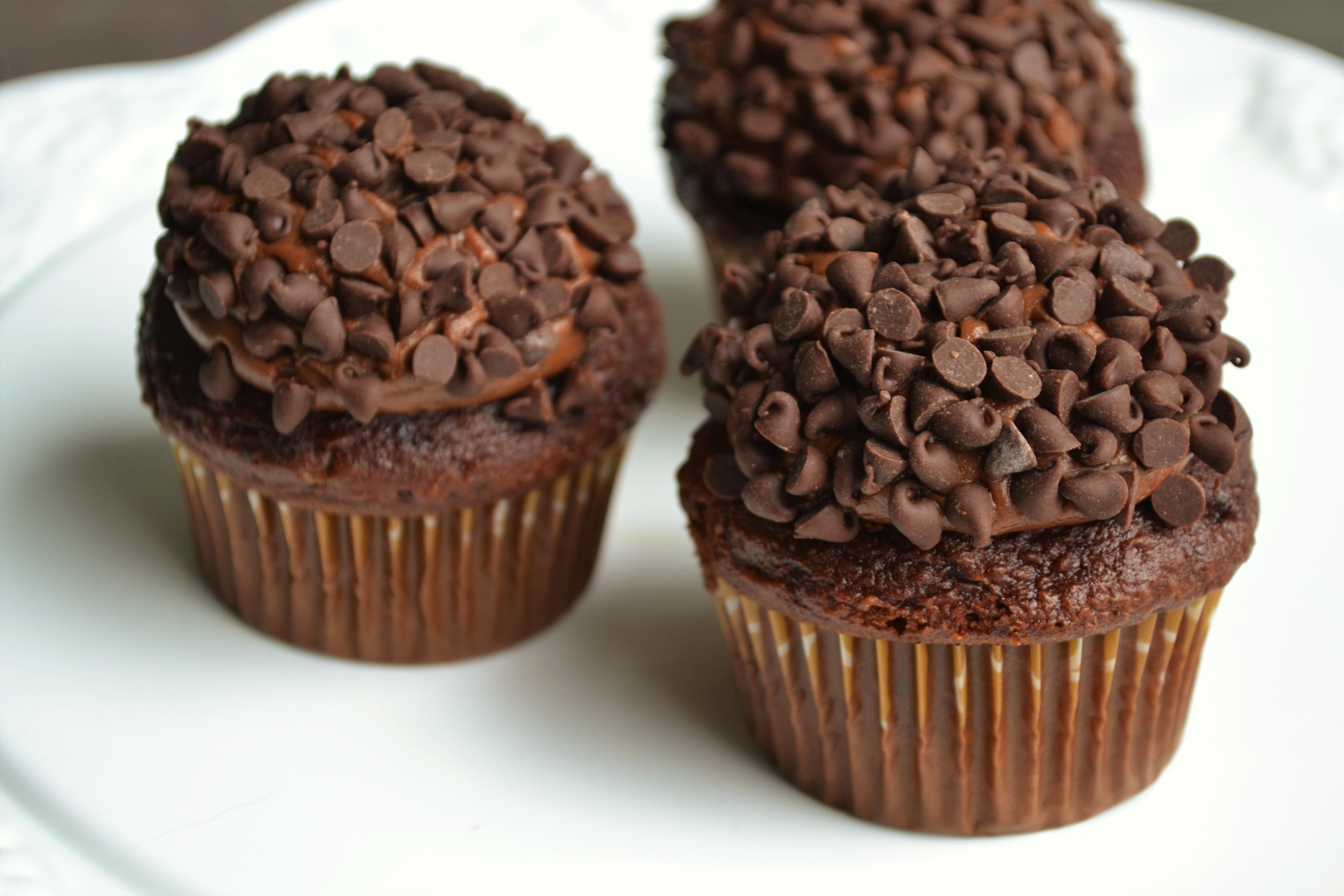 Triple Chocolate Cupcakes – DarryCakes